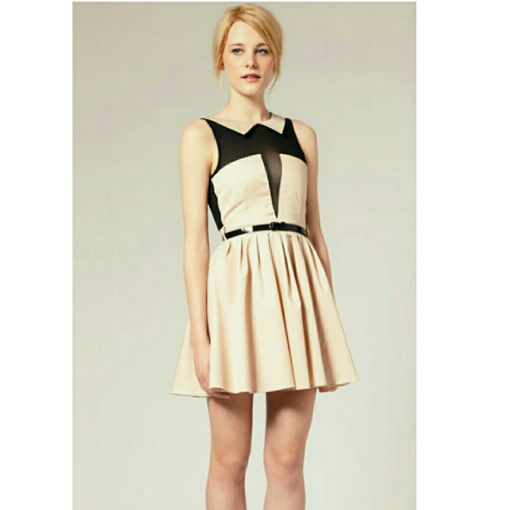 🌺NWT🌺 ASOS mesh peter pan collar dress